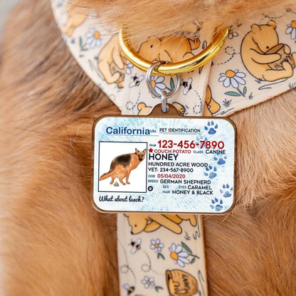 Dog Lovers - Funny Dog License Tag ID - Personalized Keychain (HJ) Keychain The Next Custom Gift