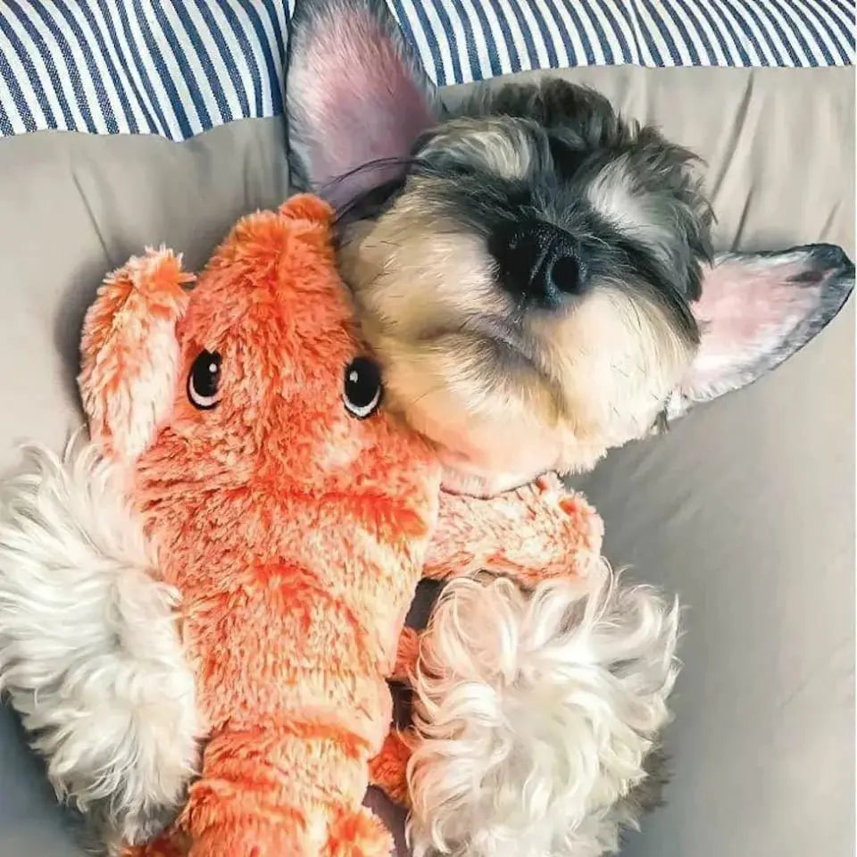 Dog Lovers - Lobster Interactive Dog Toy Pillow The Next Custom Gift