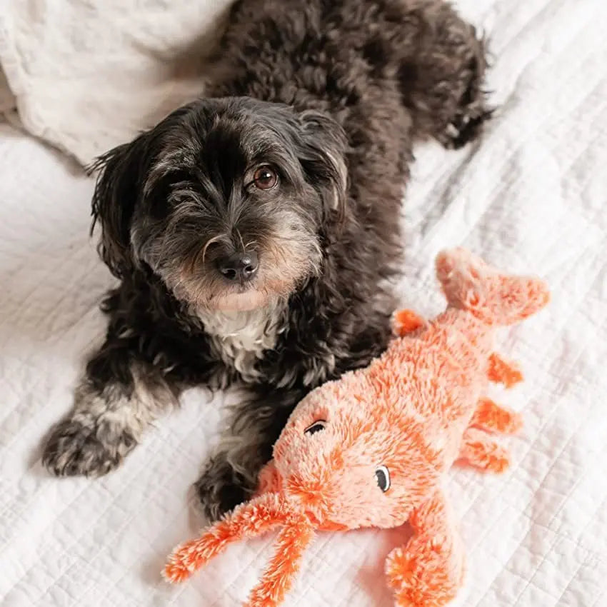 Dog Lovers - Lobster Interactive Dog Toy Pillow The Next Custom Gift