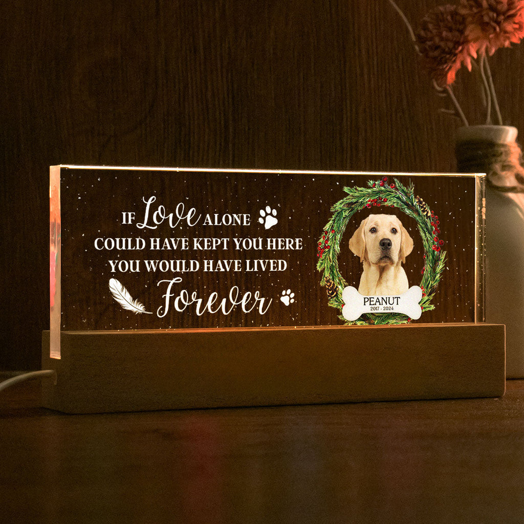 Picture Frame Memorial Personalized Acrylic LED Night Light, Heartfelt Decoration for Loss of Loved One, Gift For Dog Mom, Cat Mom