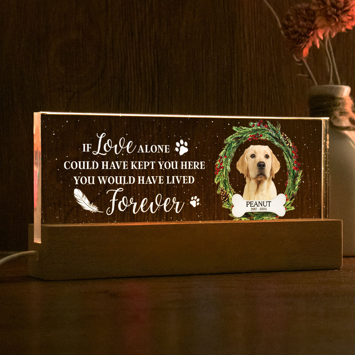 Picture Frame Memorial Personalized Acrylic LED Night Light, Heartfelt Decoration for Loss of Loved One, Gift For Dog Mom, Cat Mom