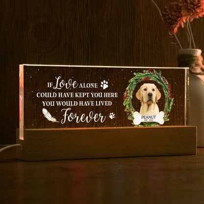 Picture Frame Memorial Personalized Acrylic LED Night Light, Heartfelt Decoration for Loss of Loved One, Gift For Dog Mom, Cat Mom