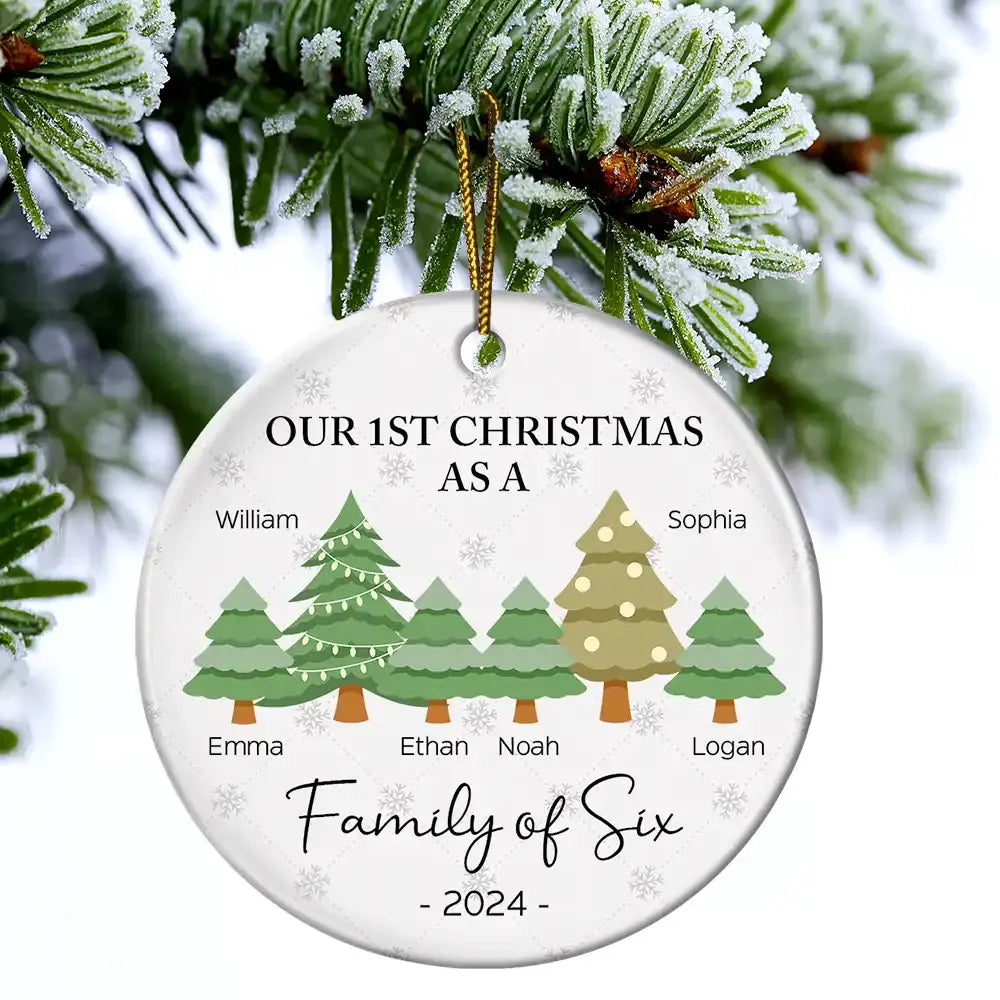 First Christmas As A Family Of Three - Personalized Circle Acrylic Ornament ornament The Next Custom Gift