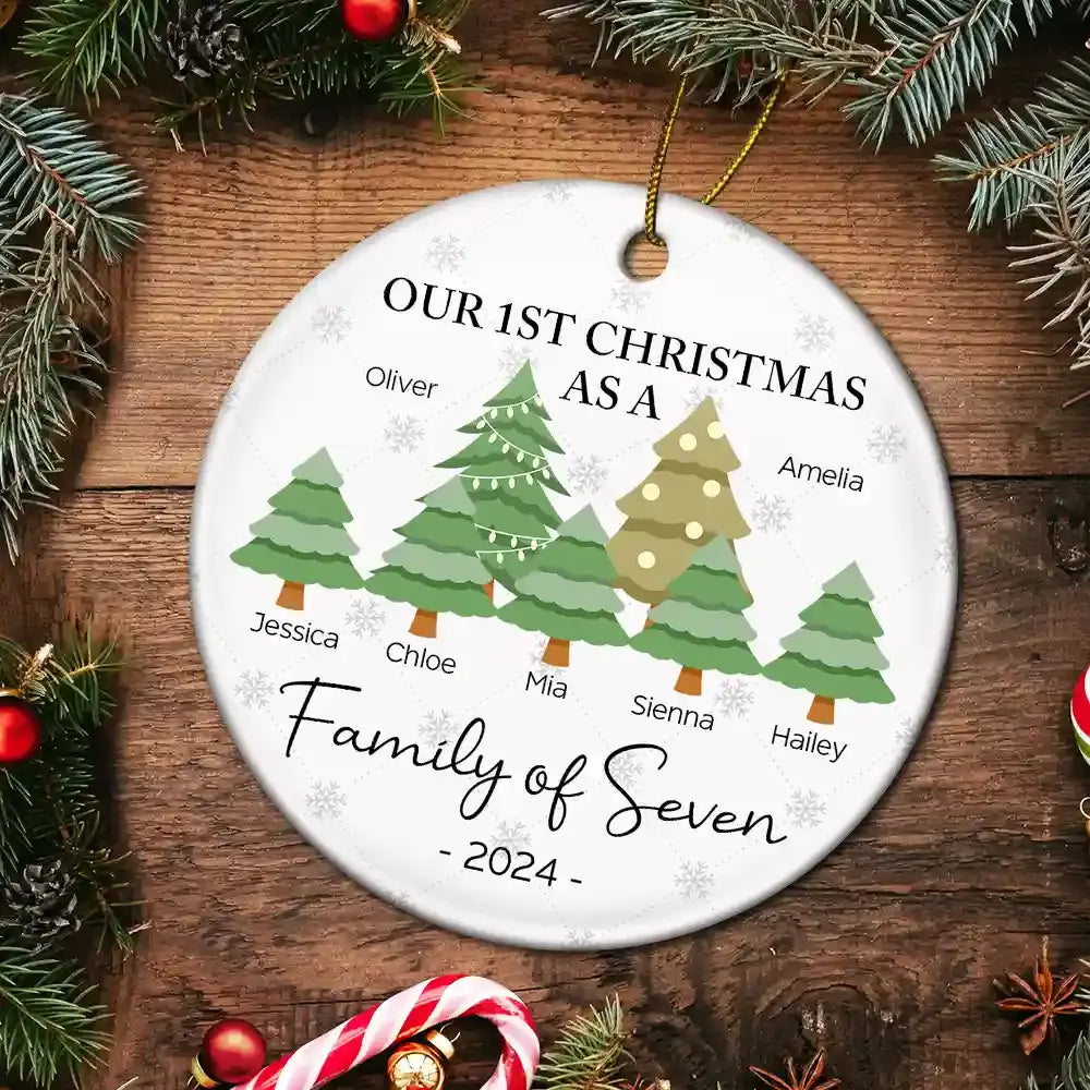 First Christmas As A Family Of Three - Personalized Circle Acrylic Ornament ornament The Next Custom Gift