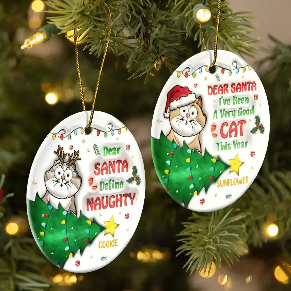 Funny Cartoon Cat On The Naughty List - 3D Inflated Effect Printed Ornament, Personalized Circle Ceramic Ornament ornament The Next Custom Gift