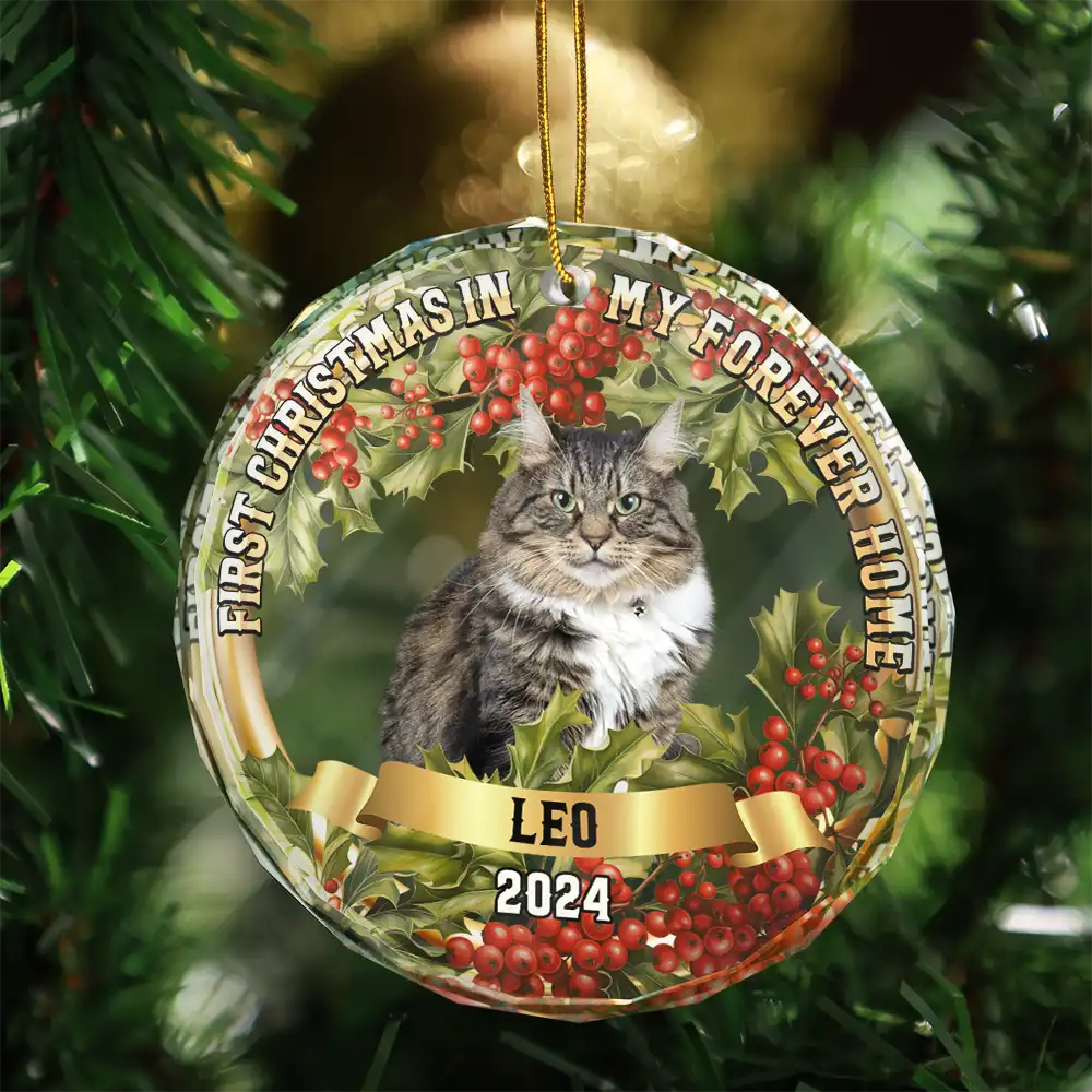 Custom Photo In My Forever Home - Personalized Circle Ornament