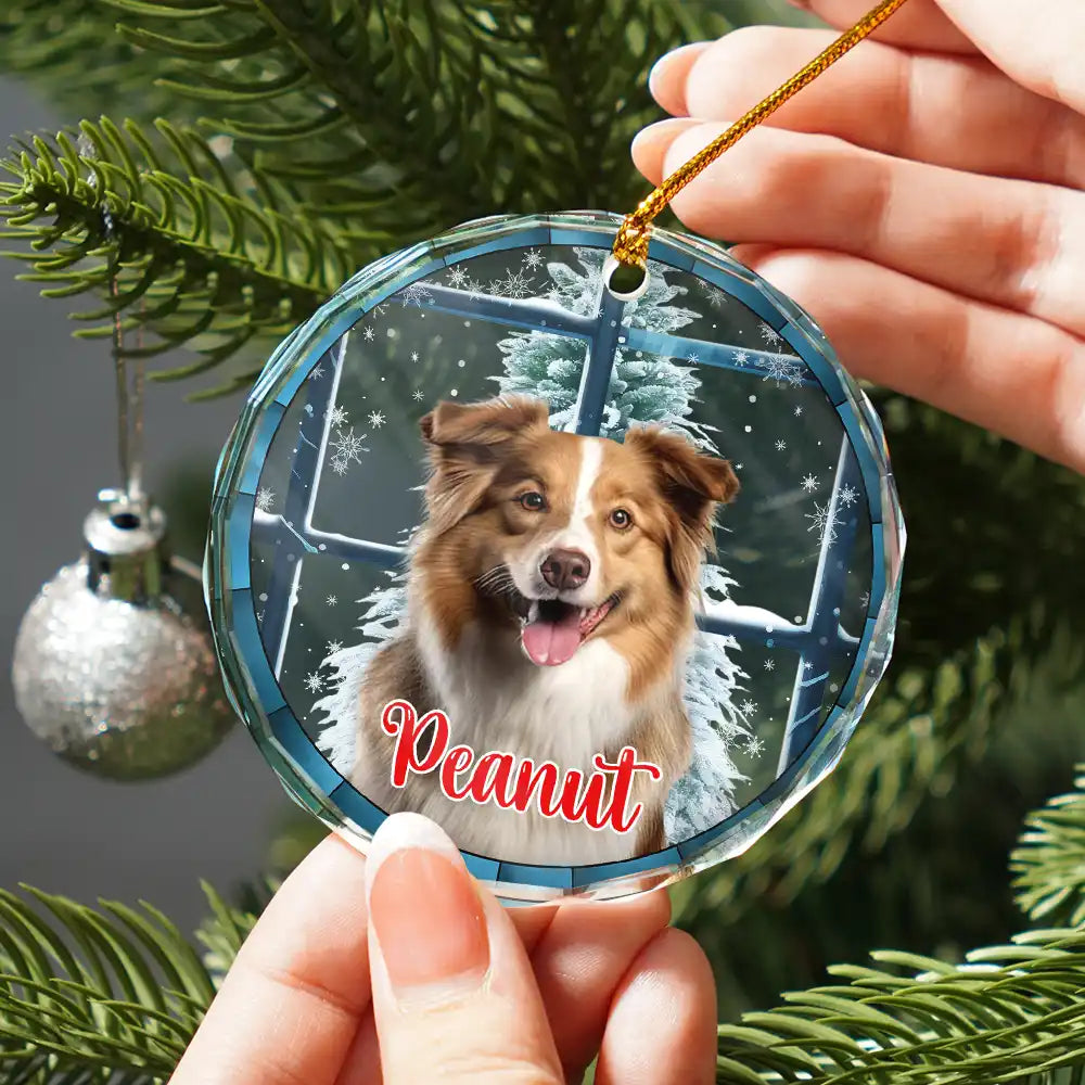 Custom Photo Pet Face Purry And Bright - Personalized Circle Acrylic Ornament