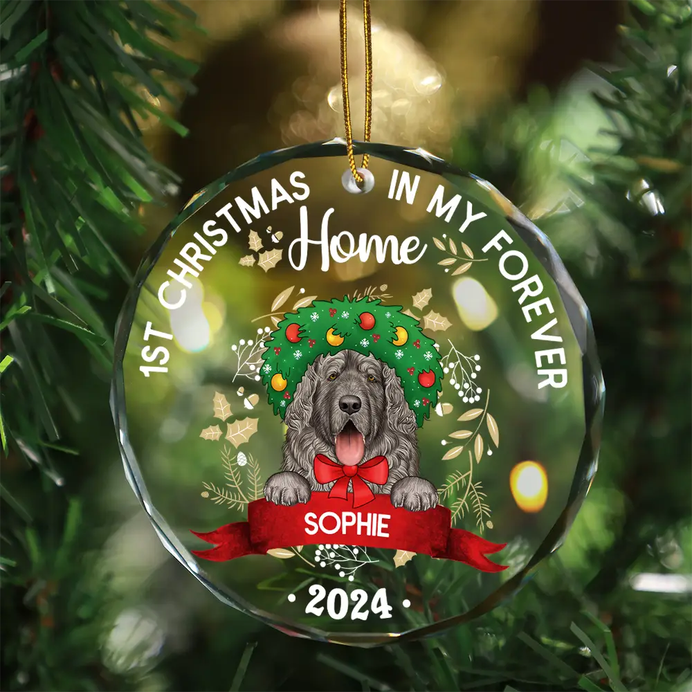 1st Christmas In My Forever Home - Personalized Circle Acrylic Ornament