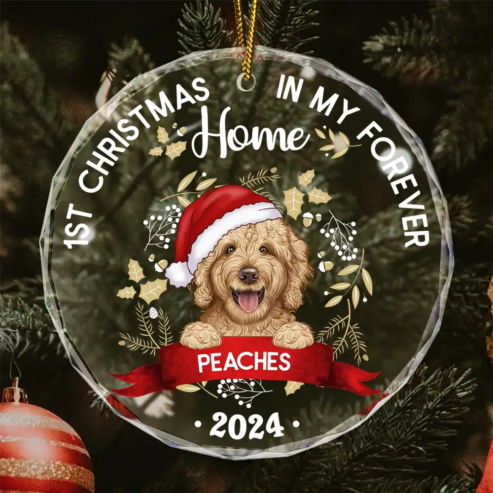 1st Christmas In My Forever Home - Personalized Circle Acrylic Ornament