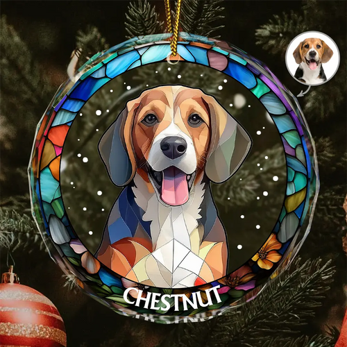 Custom Photo Portrait Dog Cat Family Christmas - Personalized Circle Glass Ornament