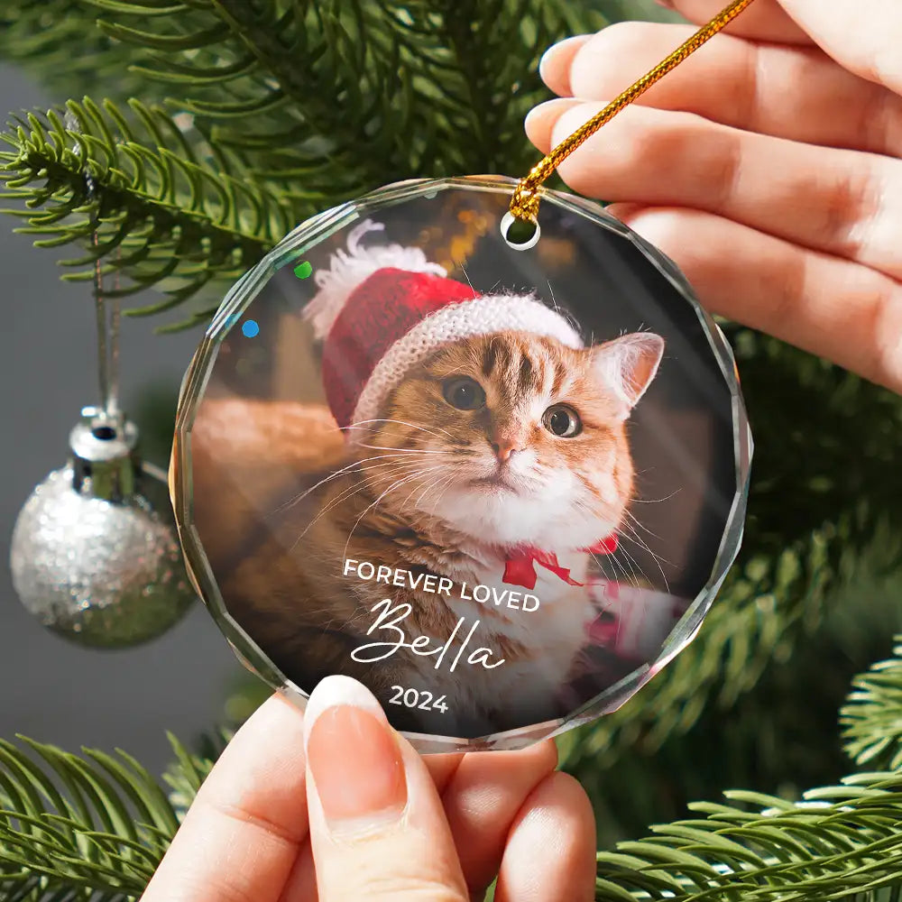 Custom Photo Forever Loved Memorial Dog Cat Pet - Personalized Glass Ornament