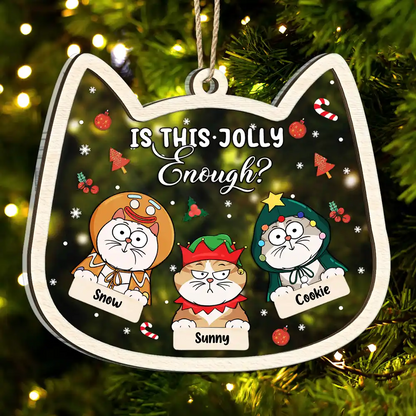 Funny Christmas Cats Is This Jolly Enough - Personalized Acylic Ornament