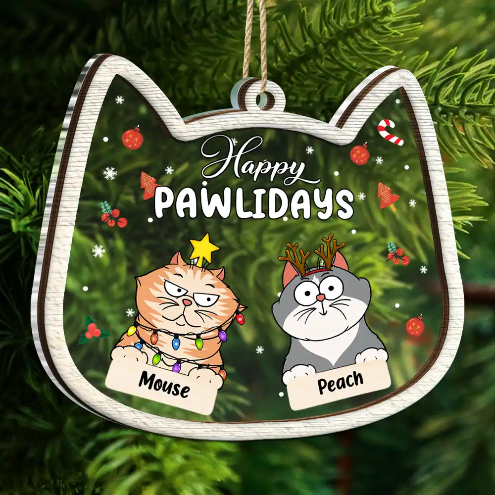 Funny Christmas Cats Is This Jolly Enough - Personalized Acylic Ornament