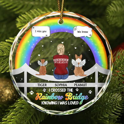 Memorial Dog Cat At The Rainbow Bridge - Personalized Circle Glass Ornament