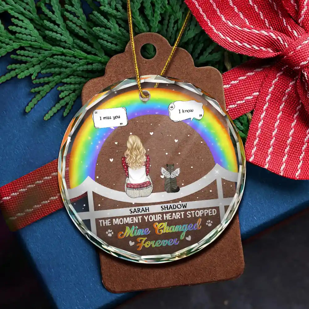 Memorial Dog Cat At The Rainbow Bridge - Personalized Circle Glass Ornament