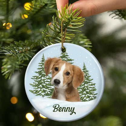 Custom Photo Pet Face Memorial - Personalized Circle Ceramic Ornament
