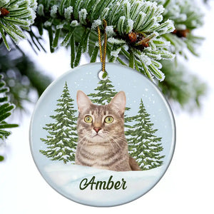 Custom Photo Pet Face Memorial - Personalized Circle Acrylic Ornament