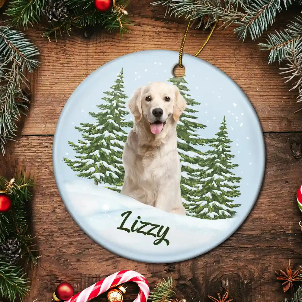 Custom Photo Pet Face Memorial - Personalized Circle Ceramic Ornament