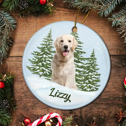 Custom Photo Pet Face Memorial - Personalized Circle Ceramic Ornament
