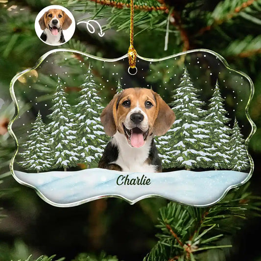 Custom Photo Pet Face Dog Cat Family - Personalized Medallion Glass Ornament