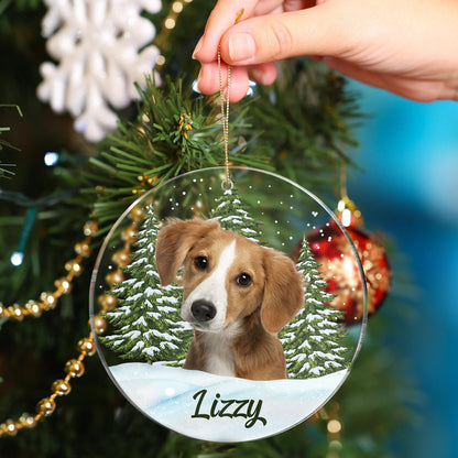 Custom Photo Pet Face - Christmas Gift For Dog Lovers, Cat Lovers, Pet Lovers, Pet Memorial - Personalized Circle Acrylic Ornament