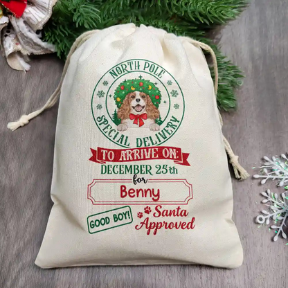 North Pole Special Delivery From Santa Paws - Personalized Favor Bag