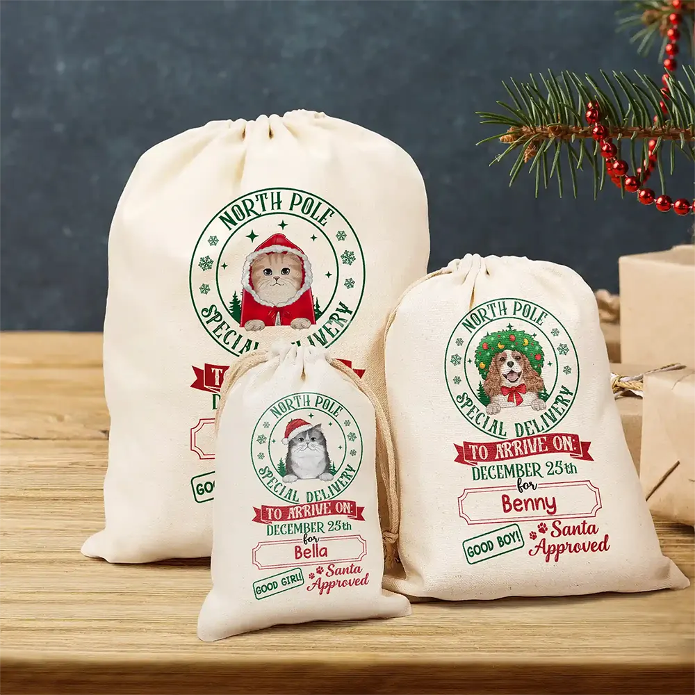 North Pole Special Delivery From Santa Paws - Personalized Favor Bag