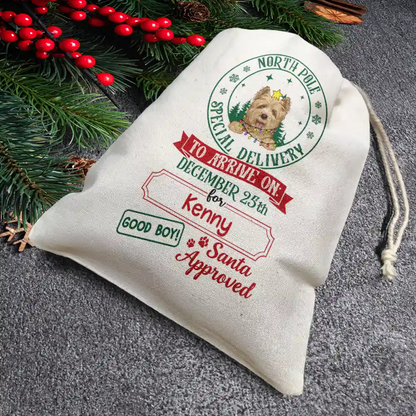 North Pole Special Delivery From Santa Paws - Personalized Favor Bag