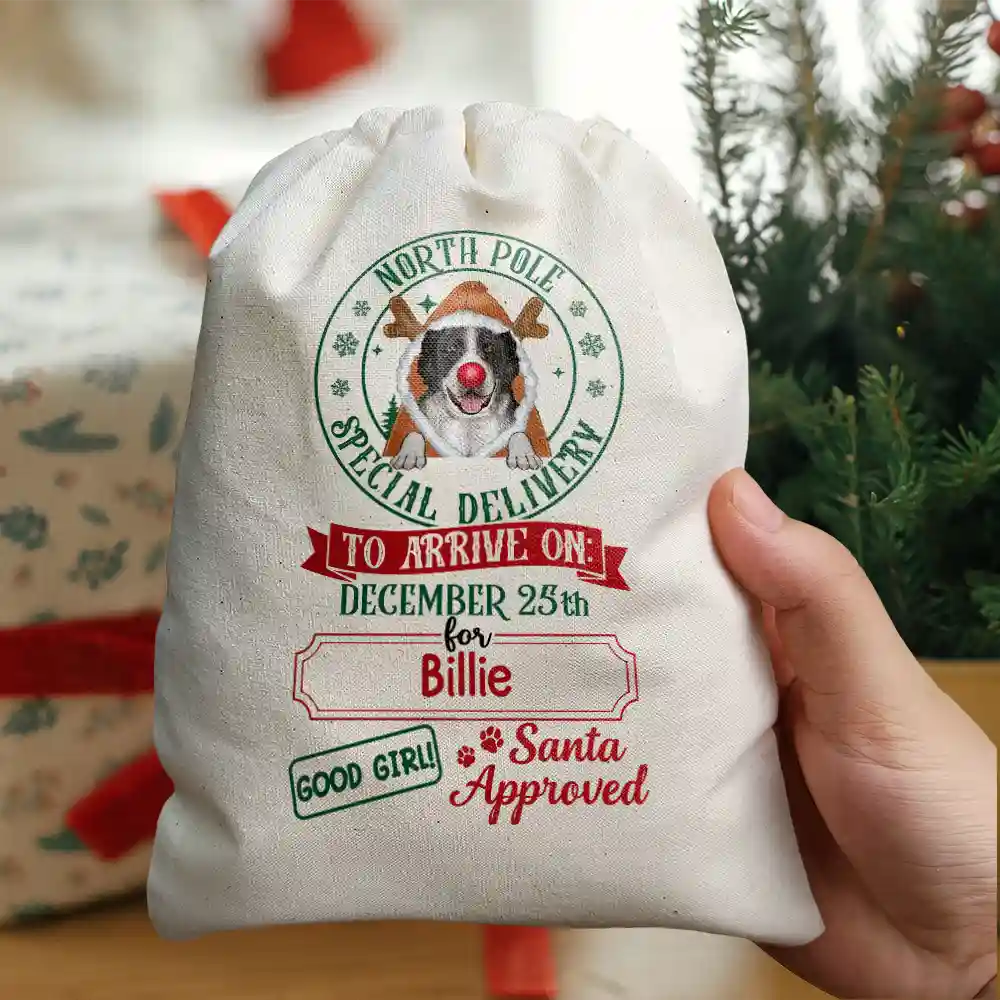 North Pole Special Delivery From Santa Paws - Personalized Favor Bag