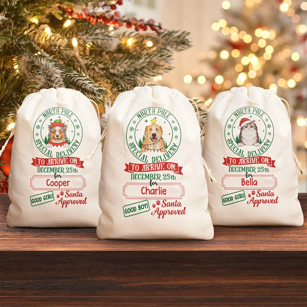 North Pole Special Delivery From Santa Paws - Personalized Favor Bag