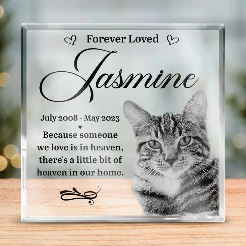 Pet Lover - Someone We Love Is In Heaven - Personalized Acrylic Plaque(NV) Plaque The Next Custom Gift