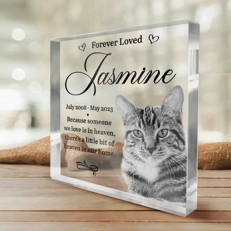 Pet Lover - Someone We Love Is In Heaven - Personalized Acrylic Plaque(NV) Plaque The Next Custom Gift