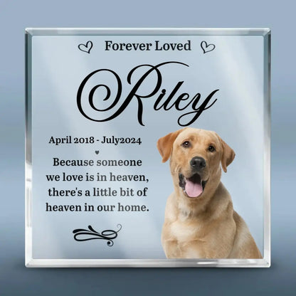 Pet Lover - Someone We Love Is In Heaven - Personalized Acrylic Plaque(NV) Plaque The Next Custom Gift