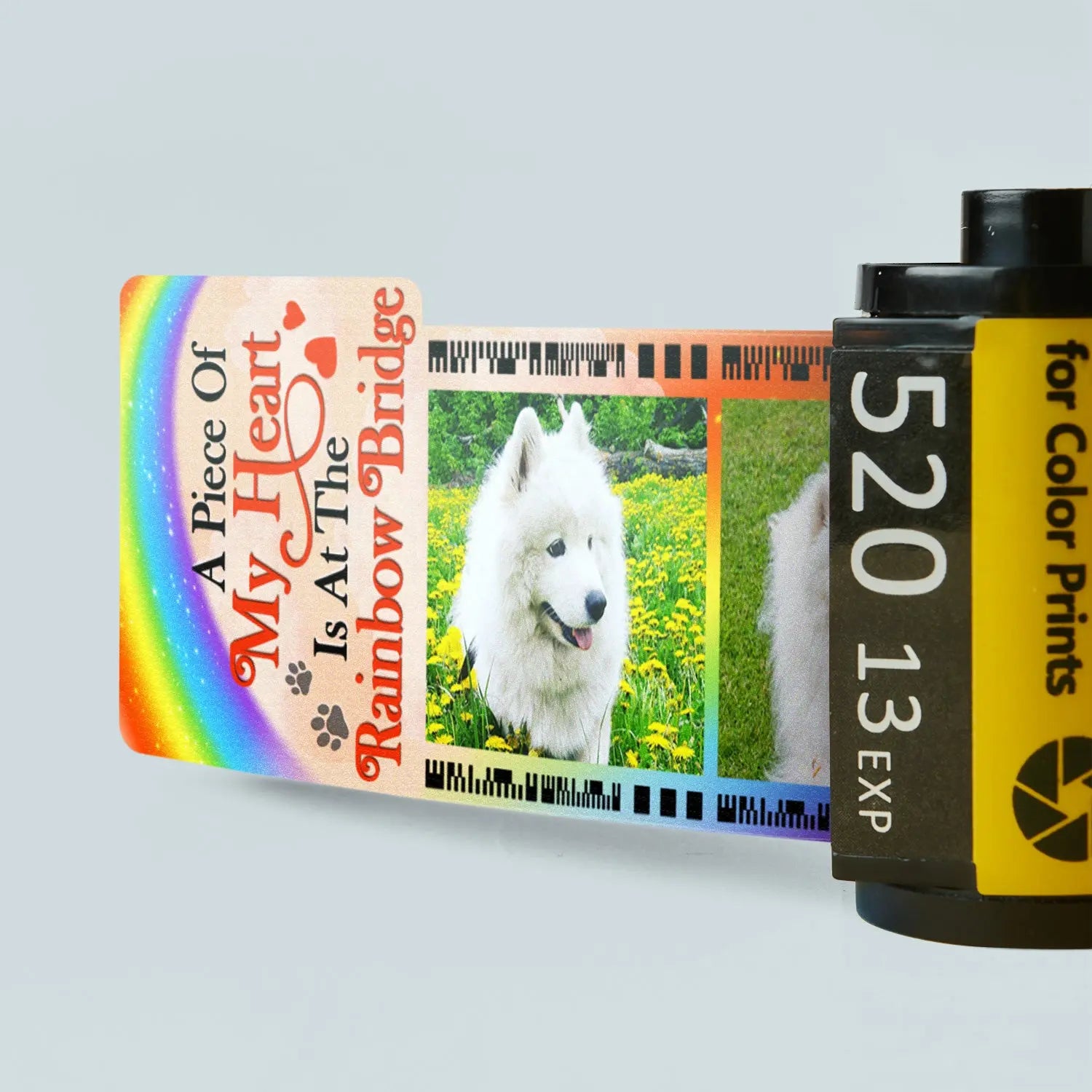 Pet Lovers - Custom Photo A Piece Of My Heart - Personalized Film Roll Keychain (HB) The Next Custom Gift