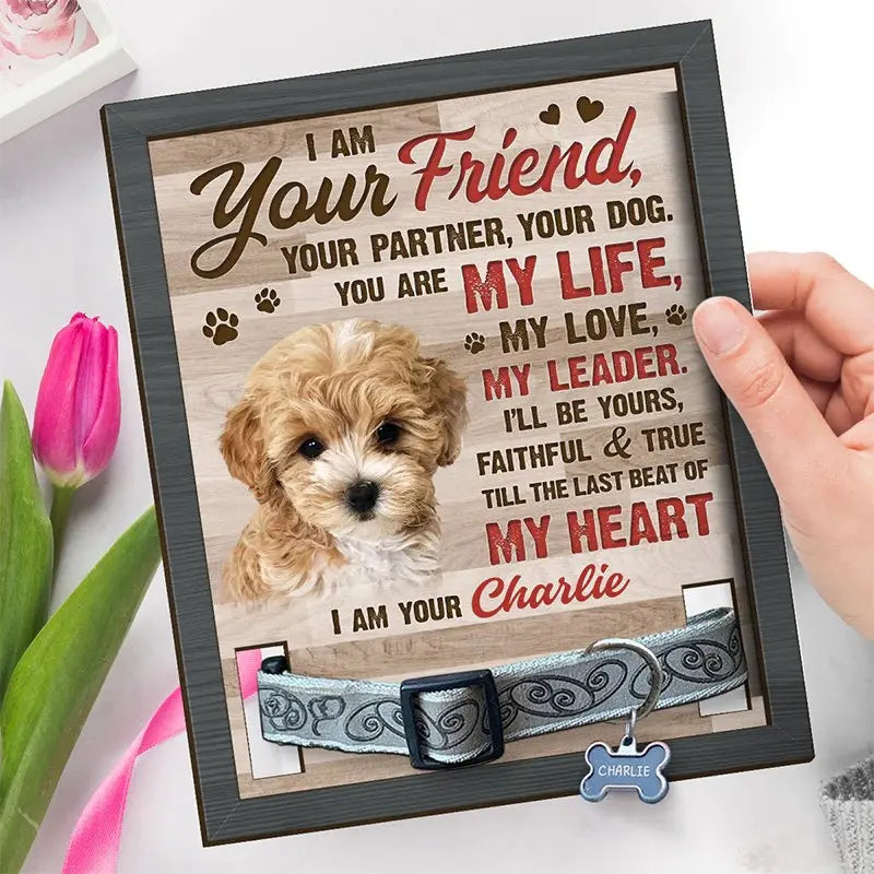 Pet Lovers- Custom Photo Friendship Survives Death - Personalized Custom Pet Loss Sign, Collar Frame With Stand (VT) Acrylic Plaque The Next Custom Gift