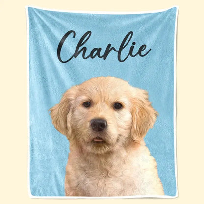 Pet Lovers - Custom Photo You Are My Sunshine - Personalized Custom Blanket Blanket The Next Custom Gift