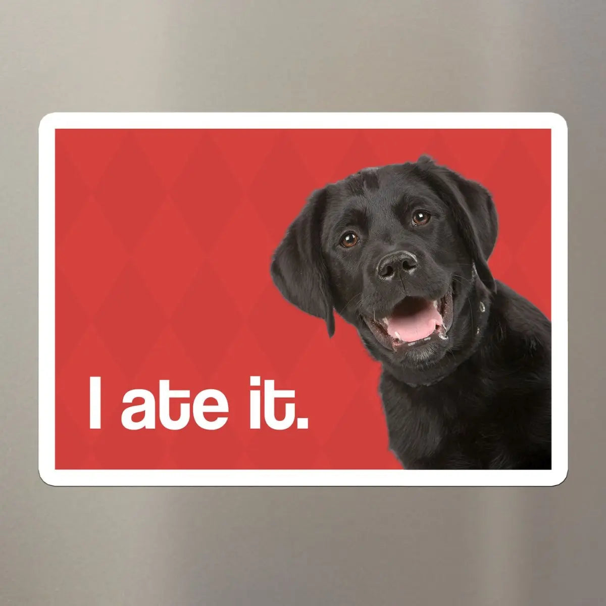 Pet Lovers - I Ate It - Personalized Photo Magnet (LH) Magnet The Next Custom Gift