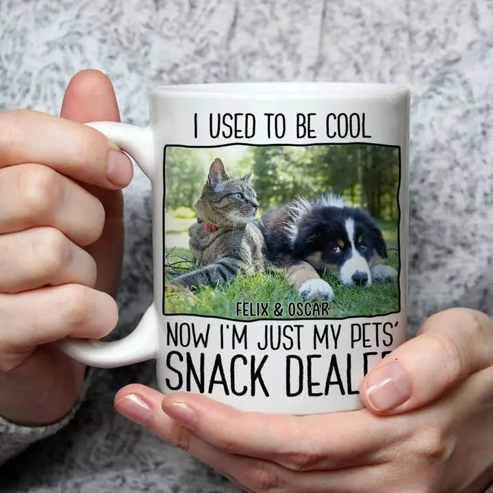 Pet Lovers - I Used To Be Cool Now I'm Just My Pets' Snack Dealer - Personalized Upload Photo Mug mug The Next Custom Gift