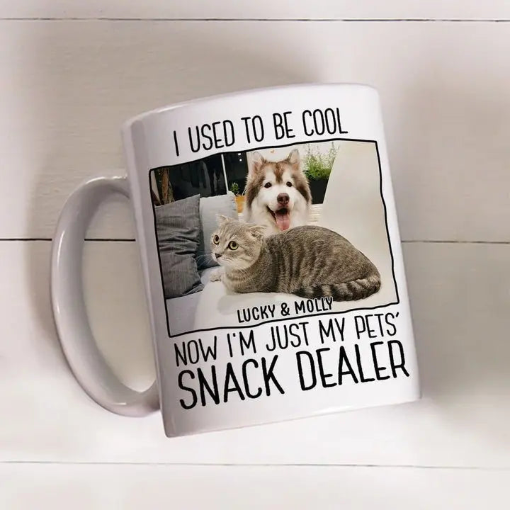 Pet Lovers - I Used To Be Cool Now I'm Just My Pets' Snack Dealer - Personalized Upload Photo Mug mug The Next Custom Gift