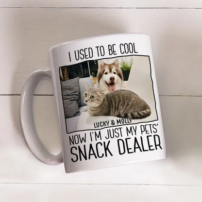 Pet Lovers - I Used To Be Cool Now I'm Just My Pets' Snack Dealer - Personalized Upload Photo Mug mug The Next Custom Gift