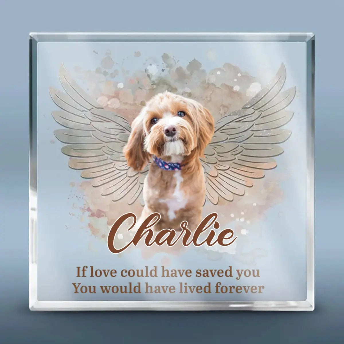 Pet Lovers - You Left Paw Prints On Our Hearts - Personalized Acrylic Plaque - The Next Custom Gift  Plaque