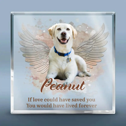 Pet Lovers - You Left Paw Prints On Our Hearts - Personalized Acrylic Plaque - The Next Custom Gift  Plaque