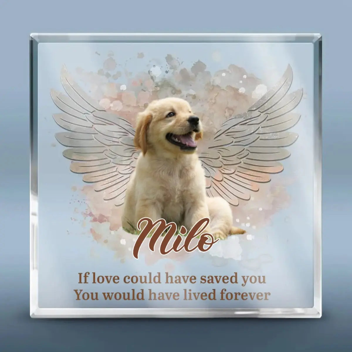 Pet Lovers - You Left Paw Prints On Our Hearts - Personalized Acrylic Plaque - The Next Custom Gift  Plaque