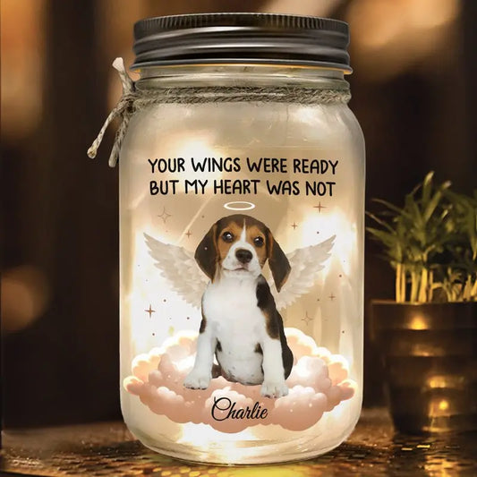 Pet Lovers - You Were My Favorite Hello & My Hardest Goodbye - Personalized Jar Light - The Next Custom Gift  