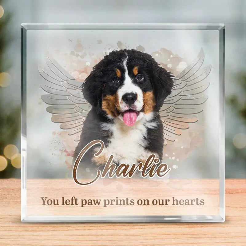 Pet Lovers - You left paw prints on our hearts - Personalized Acrylic Plaque (NV) Plaque The Next Custom Gift