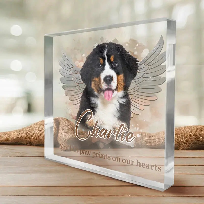 Pet Lovers - You left paw prints on our hearts - Personalized Acrylic Plaque (NV) Plaque The Next Custom Gift