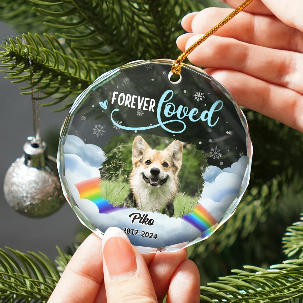 Custom Photo Forever Loved Pet Memorial - Personalized Circle Ornament