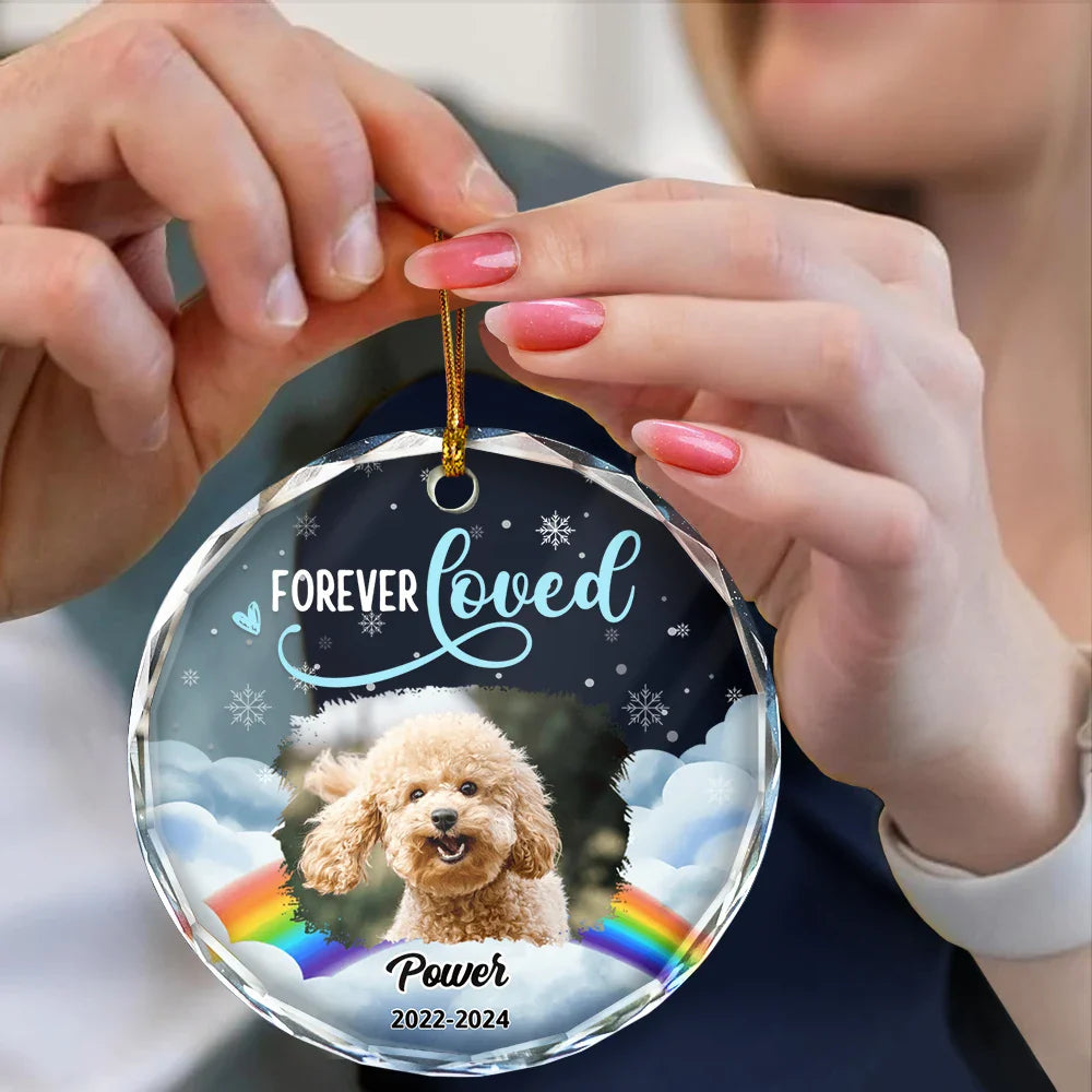 Custom Photo Forever Loved Pet Memorial - Personalized Circle Ornament