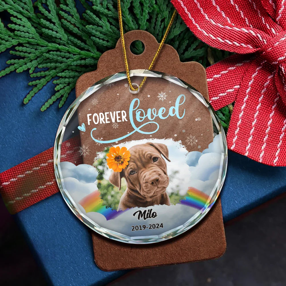 Custom Photo Forever Loved Pet Memorial - Personalized Circle Glass Ornament