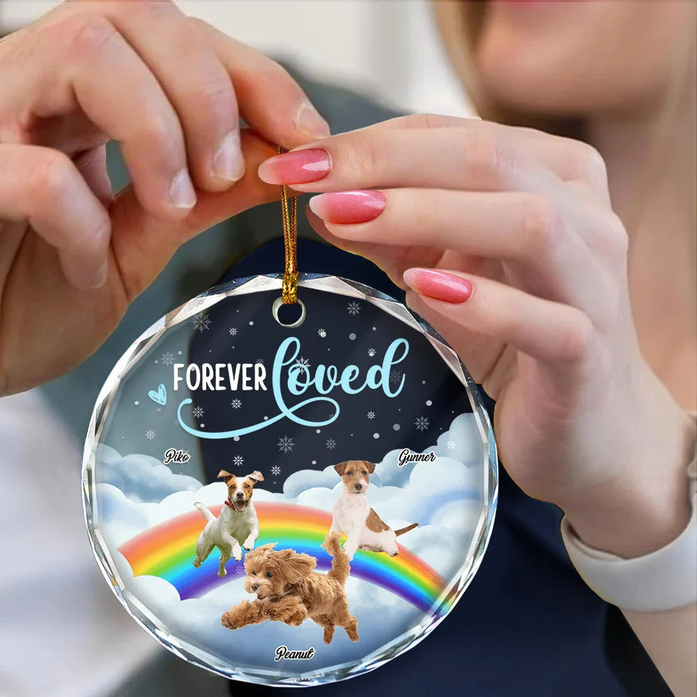 Custom Photo Forever Loved Ver 2 Pet Memorial - Personalized Circle Glass Ornament